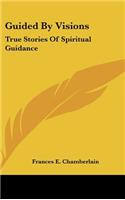 Guided By Visions: True Stories Of Spiritual Guidance