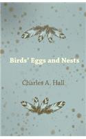 Birds' Eggs and Nests