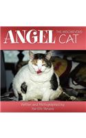 Angel, the Mischievous Cat