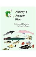 Audrey's Amazon River