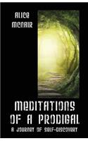 Meditations of a Prodigal: A Journey of Self-Discovery(English)