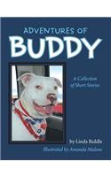 Adventures of Buddy