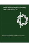 Understanding Algebra