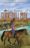 Brumby of Summerhill Park