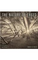 The Nature of Trees 2020 Calendar: Photography by Paul Kozal
