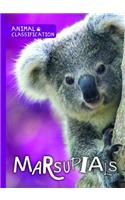 Marsupials