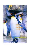 Pedez the Penguin and the Magic Ice Tray