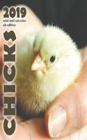 Chicks 2019 Mini Wall Calendar (UK Edition)