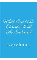 What Can't Be Cured Must Be Endured: Notebook