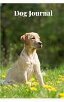 Dog Journal