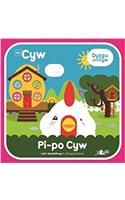 Pi-Po Cyw