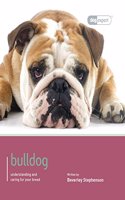 Bulldog