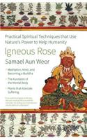 Igneous Rose
