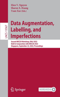 Data Augmentation, Labelling, and Imperfections