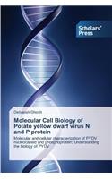 Molecular Cell Biology of Potato Yellow Dwarf Virus N and P Protein