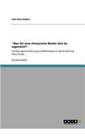 Was für eine chinesische Mutter bist du eigentlich?: Handlungsorientierung und Motivation in der Erziehung Amy Chuas