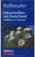 Rothmaler - Exkursionsflora Von Deutschland. Bd. 3
