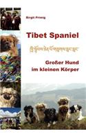 Tibet Spaniel