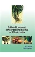 Edible Roots And Underground Stems Of Ethinic India