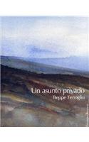 Un Asunto Privado