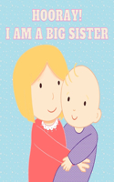 Hooray! I am a Big Sister