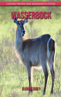 Wasserbock