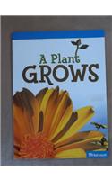 Science Leveled Readers: On-Level Reader Grade K Plant Grows