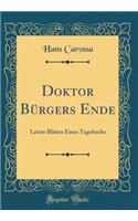 Doktor Bï¿½rgers Ende: Letzte Blï¿½tter Eines Tagebuchs (Classic Reprint)