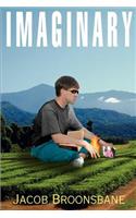 Imaginary