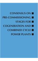 Consensus on Pre-Commissioning Stages for Cogeneration and Combined Cycle Power Plants