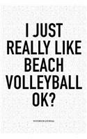 I Just Really Like Beach Volleyball Ok?: A 6x9 Inch Matte Softcover Diary Notebook with 120 Blank Lined Pages and a Funny Gaming Sports Cover Slogan