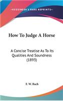 How To Judge A Horse