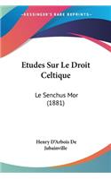 Etudes Sur Le Droit Celtique