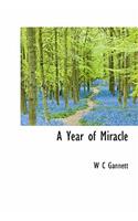 A Year of Miracle