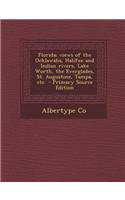 Florida; Views of the Ocklawaha, Halifax and Indian Rivers, Lake Worth, the Everglades, St. Augustine, Tampa, Etc - Primary Source Edition