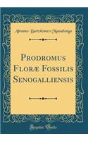 Prodromus Floræ Fossilis Senogalliensis (Classic Reprint)