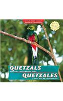 Quetzals and Other Latin American Birds / Quetzales Y Otras Aves de Latinoamérica