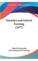 Ostriches and Ostrich Farming (1877)