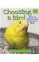 Choosing a Bird