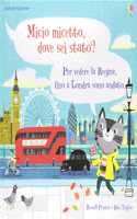 Micio micetto, dove sei stato? Londra