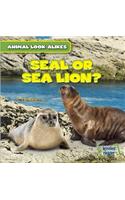 Seal or Sea Lion?