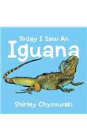 Today I Saw An Iguana