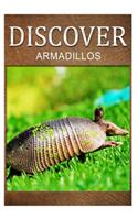 Armadillos - Discover