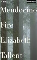 Mendocino Fire