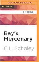 Bay's Mercenary