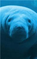 Manatee Lined Notebook - 120 Page, 5x8, Cute Journal Gift for Manatee Lovers: (English)
