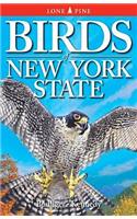 Birds of New York State