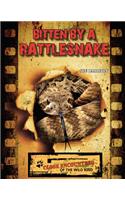 Bitten by a Rattlesnake