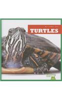 Turtles