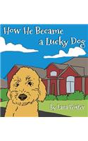 How He Became a Lucky Dog